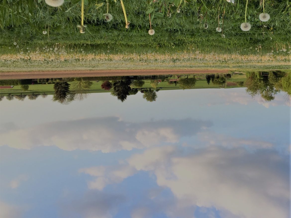 Den Himmel auf den Kopf gestellt.