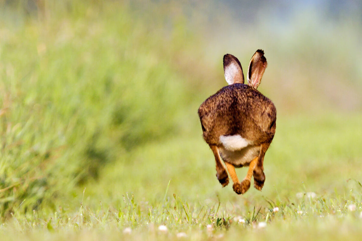 Gedanken-Stunde: Hallo Angst, da bist du ja wieder.