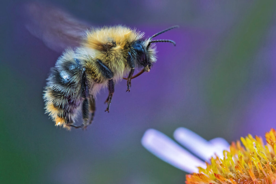 Gedanken-Stunde: Alles nur in meinem Kopf.