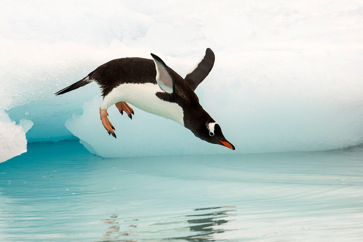 Gedanken-Stunde: Meine Persönlichkeit und ich.