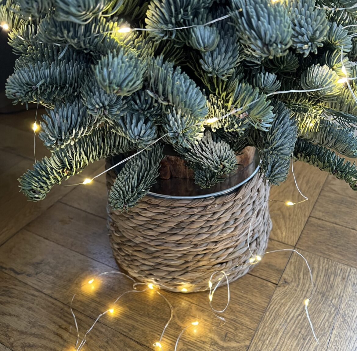 🎄Die liebe Weihnachtszeit und ihre Emotionen. Alle Jahre wieder. 😍🤬