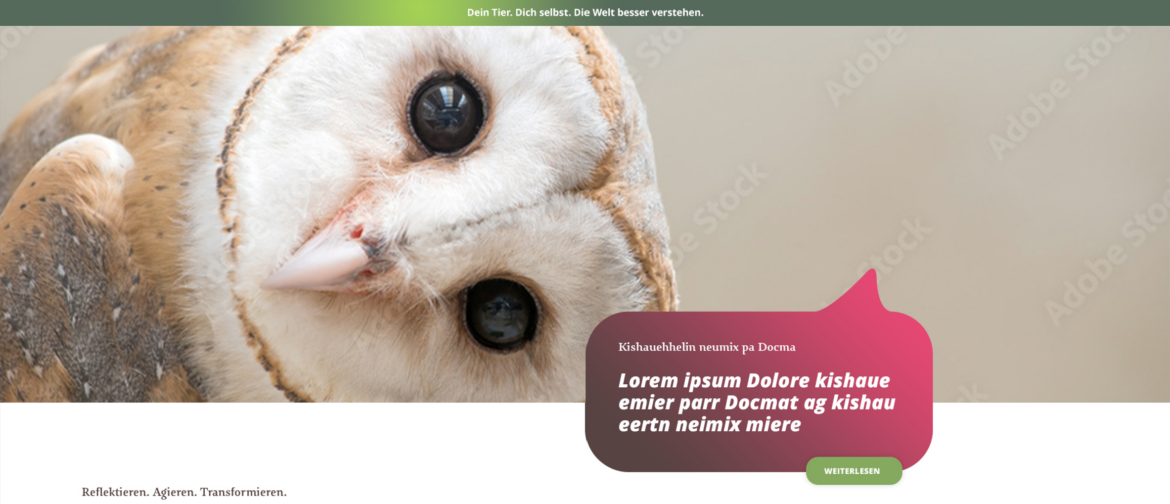 „Eure Zeit ist begrenzt.